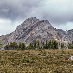 Canadian Rockies - Jasper area
